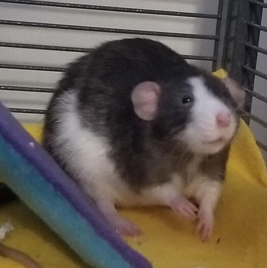 :3