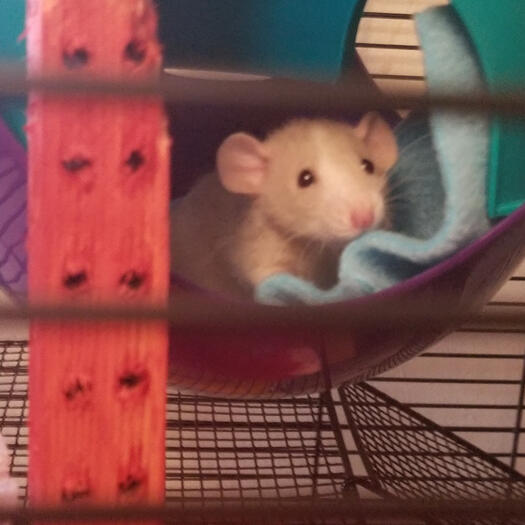 look at this absolute fucking baby. what the fuck. oh my god.