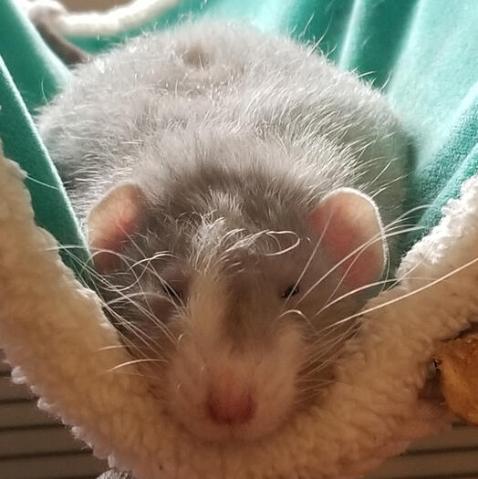 😴😴😴