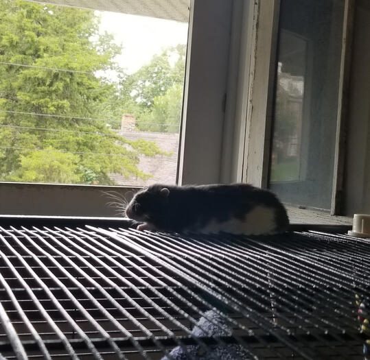 enjoying the breeze